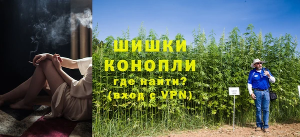 гидропоника Абаза