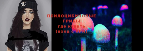 альфа пвп Семикаракорск