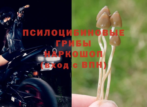 спайс Абинск