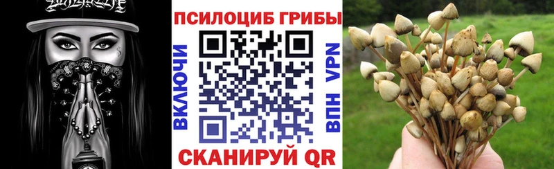 Галлюциногенные грибы GOLDEN TEACHER Агрыз